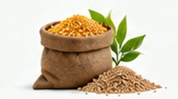 Seeds